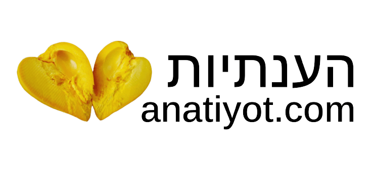 logo anatiyot